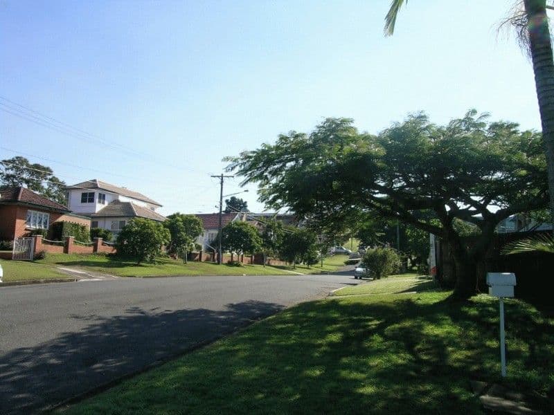 17 Gavan Street, ASHGROVE QLD 4060, Ashgrove - Thumbnail 5