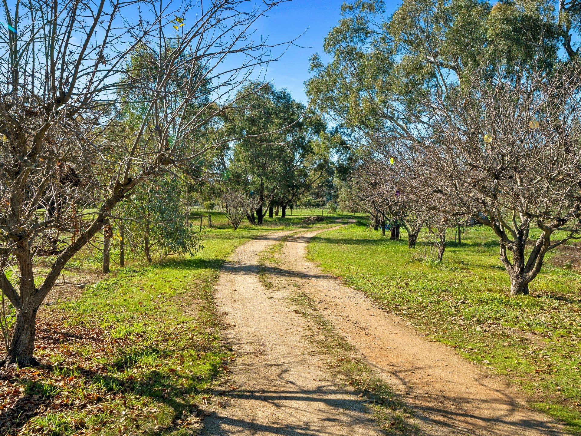 321 Kealy Road, Benalla VIC 3672, Benalla - Image 1