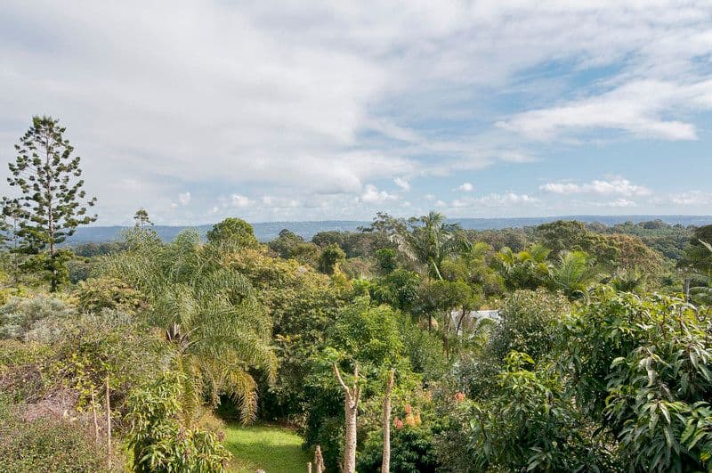 2 Sunset Avenue, BUDERIM QLD 4556, Buderim - Thumbnail 6
