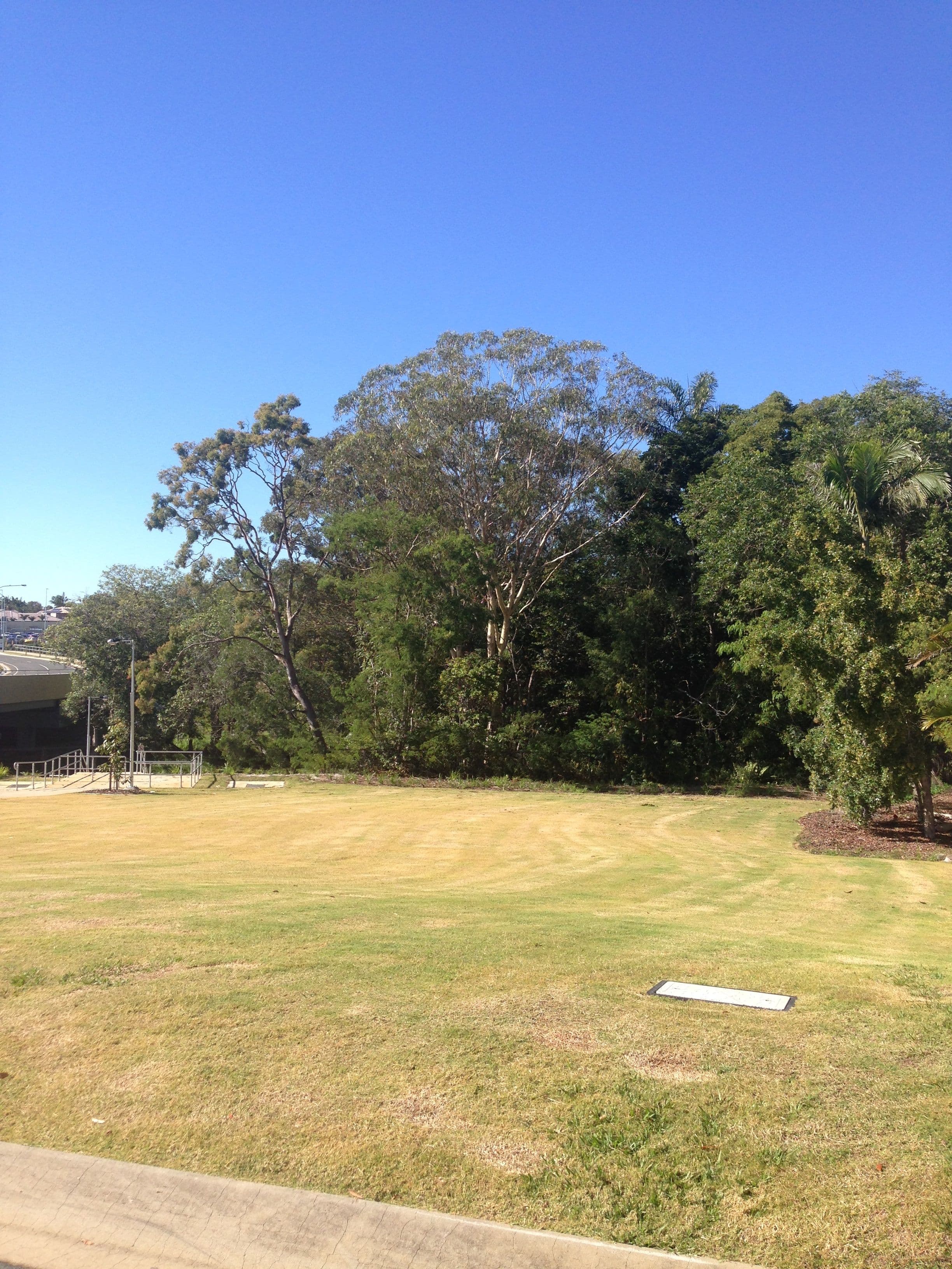 76 Cecily Street, Kallangur QLD 4503, Kallangur - Image 1