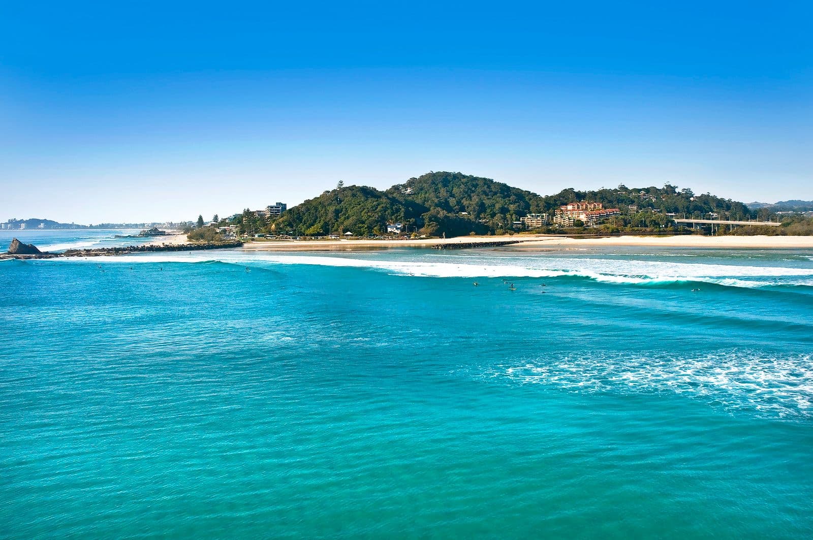1356 Gold Coast Highway, Palm Beach QLD 4221, Palm Beach - Thumbnail 7