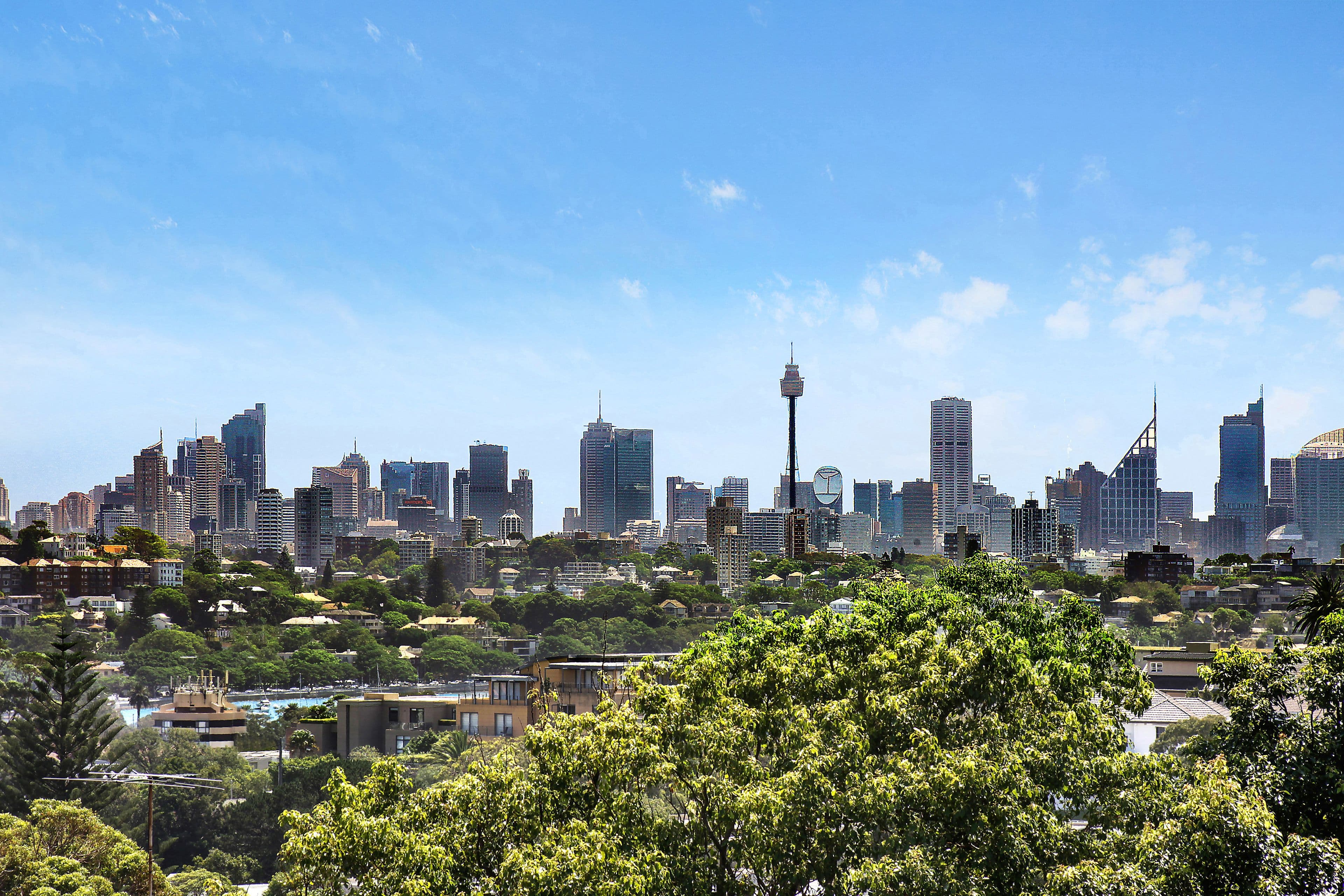 1 Gilbert Street, Dover Heights - Thumbnail 4