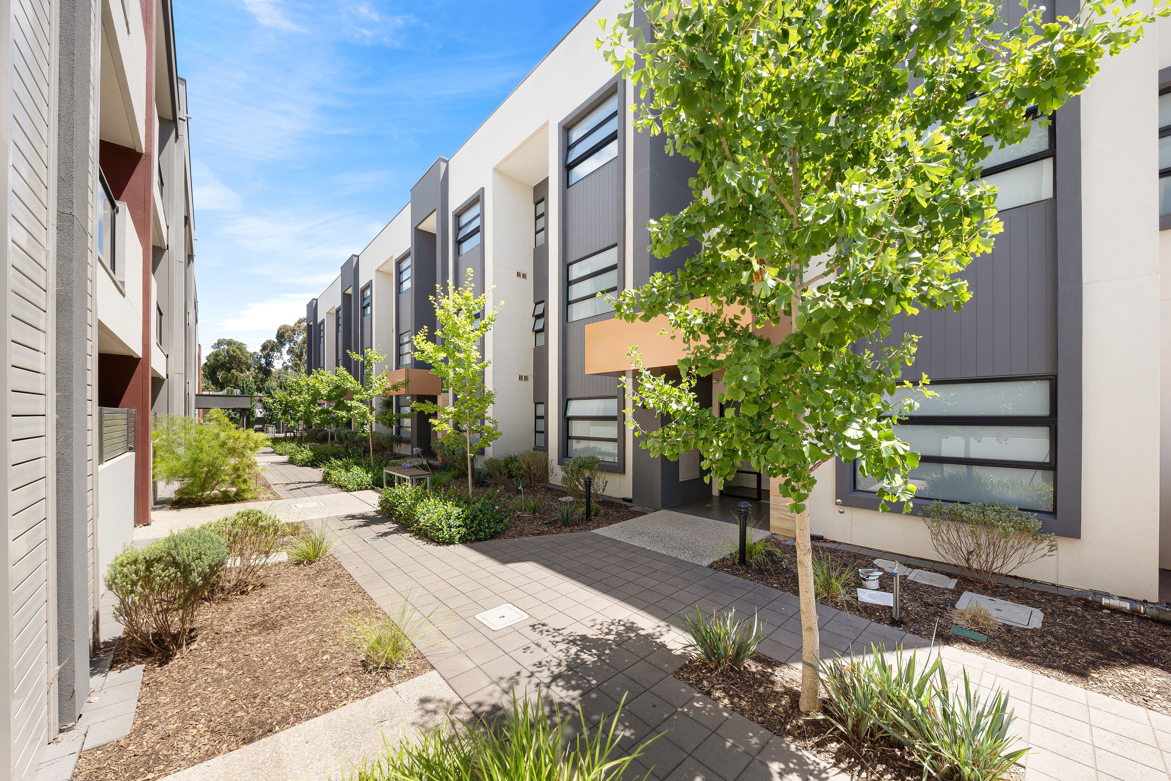 3 Alexander Lane, Marden SA 5070, Marden - Image 1