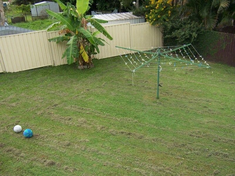 21 Brownvale Street, LOGAN CENTRAL QLD 4114, Logan Central - Thumbnail 6