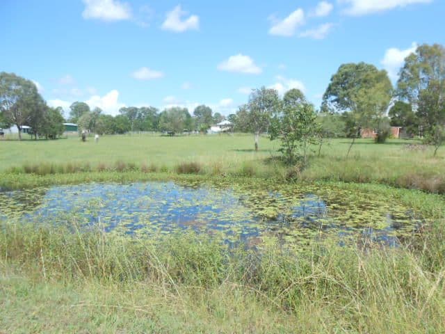 6489 Mt Lindesay Highway, GLENEAGLE QLD 4285, Gleneagle - Thumbnail 4