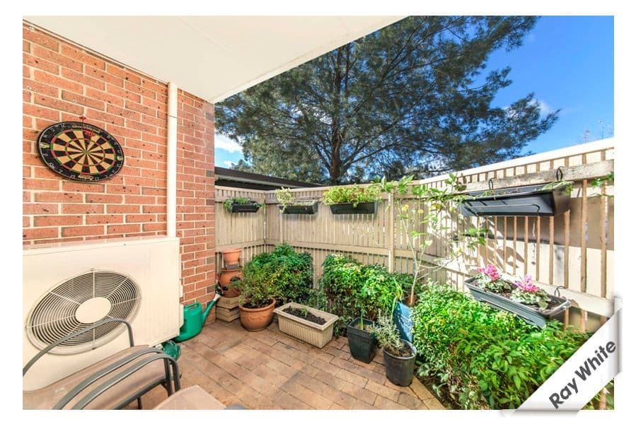 22 Archibald Street, Lyneham ACT 2602, Lyneham - Thumbnail 7