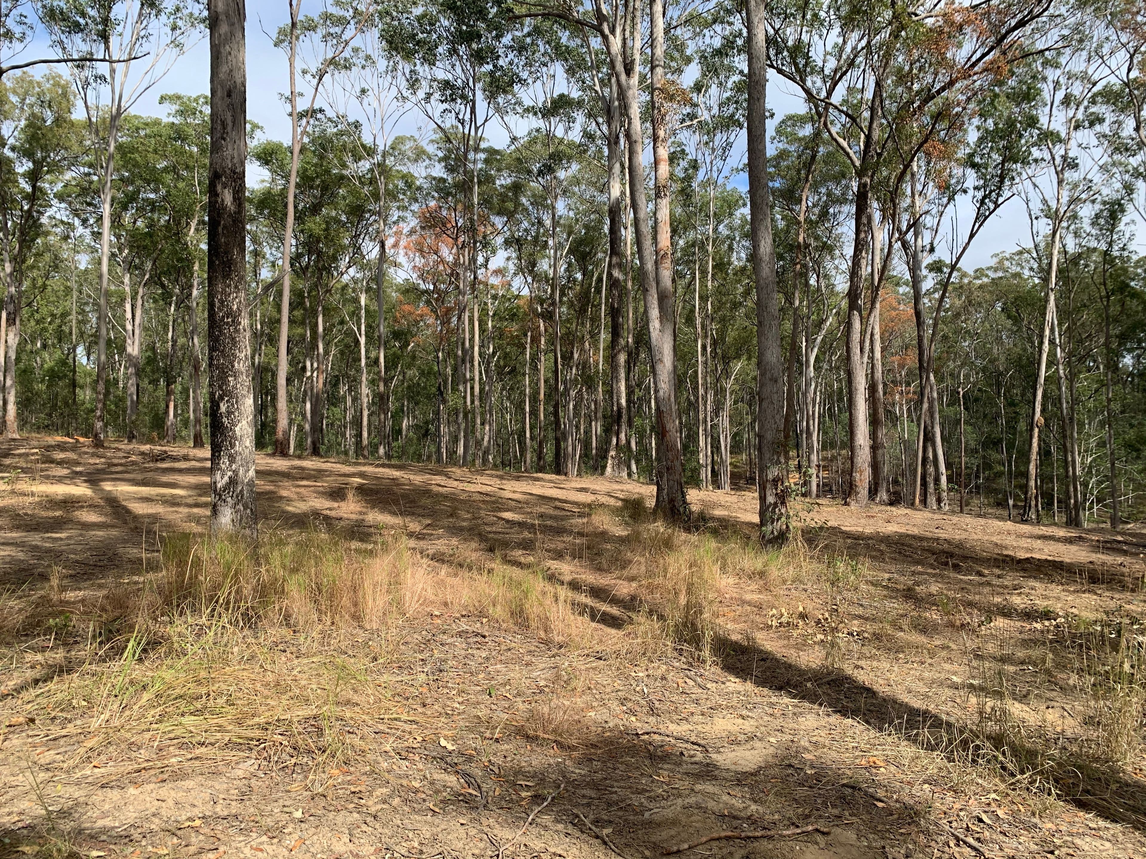 Lot 4 Theodore Road, Kurwongbah QLD 4503, Kurwongbah - Image 1