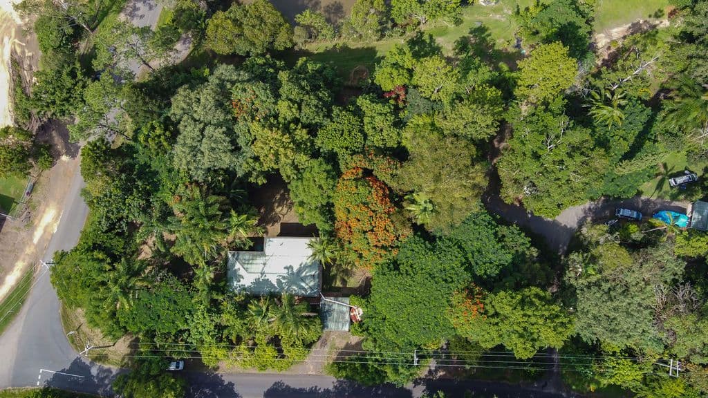 7 Ratcliffe Road, Diamond Valley QLD 4553, Diamond Valley - Thumbnail 7