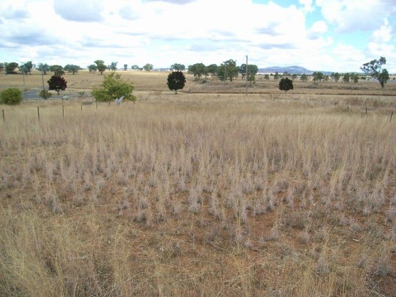 66 Rodney Street, BARRABA NSW 2347, Barraba - Image 1