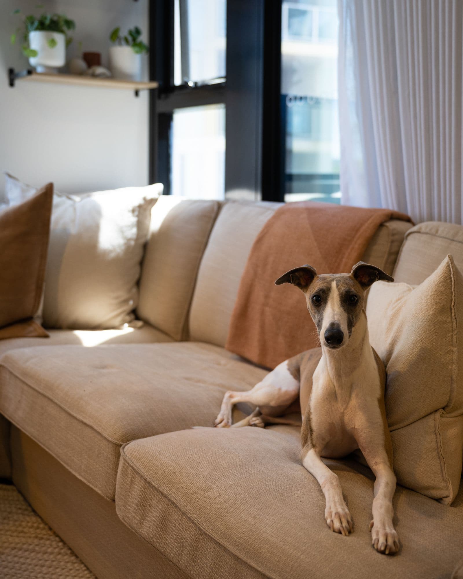 1 Elouera Street, Braddon ACT 2612, Braddon - Thumbnail 2