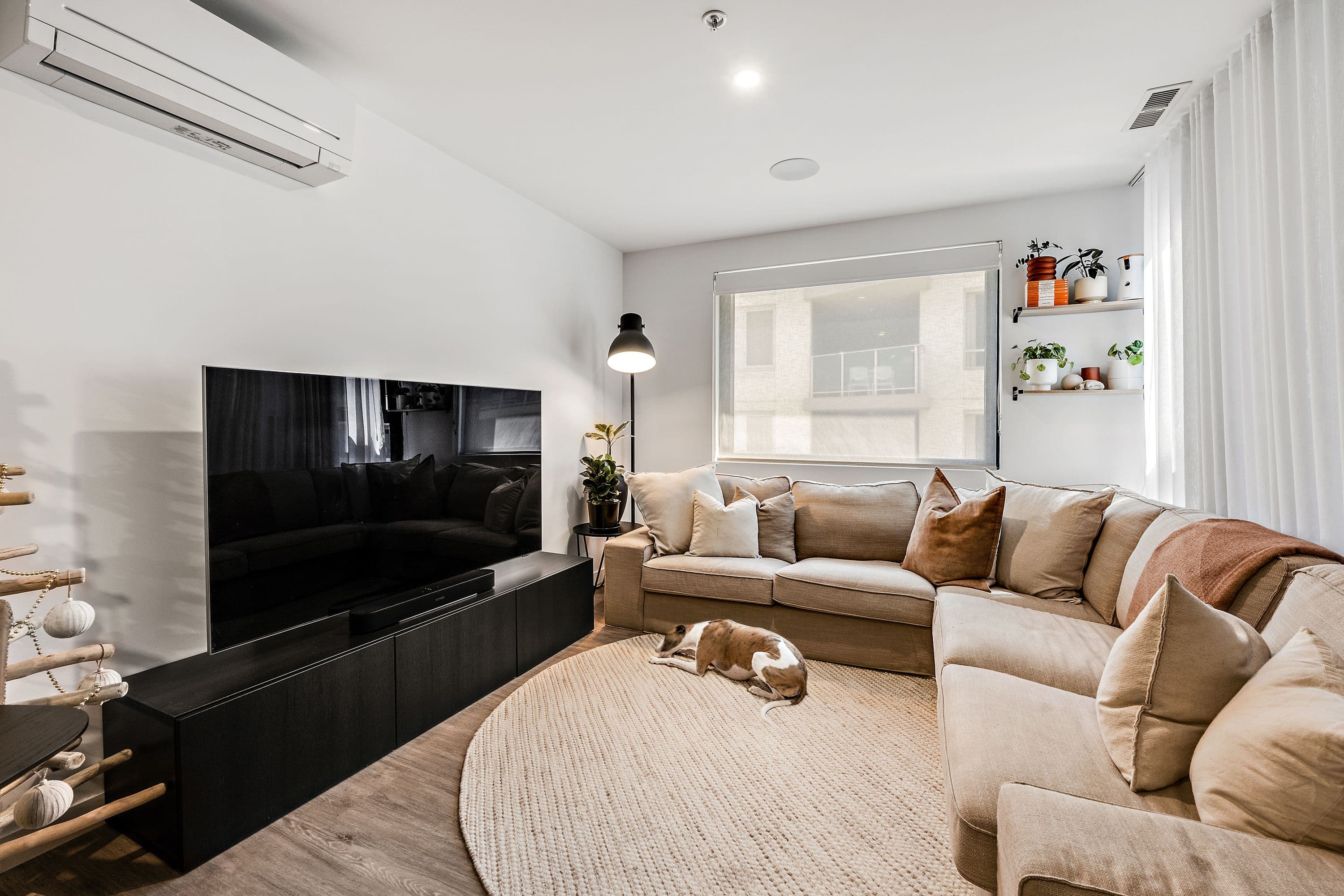 1 Elouera Street, Braddon ACT 2612, Braddon - Thumbnail 3
