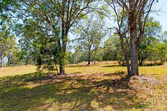 30 John Wayne Close, MAUDSLAND QLD 4210, Maudsland - Thumbnail 7