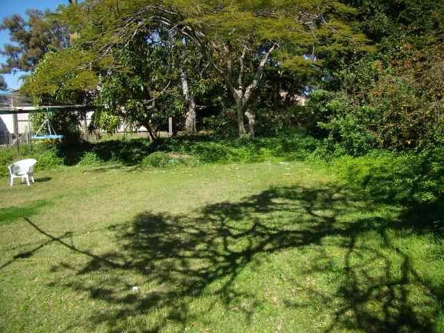 14 Claremont Street, BIRKDALE QLD 4159, Birkdale - Thumbnail 4