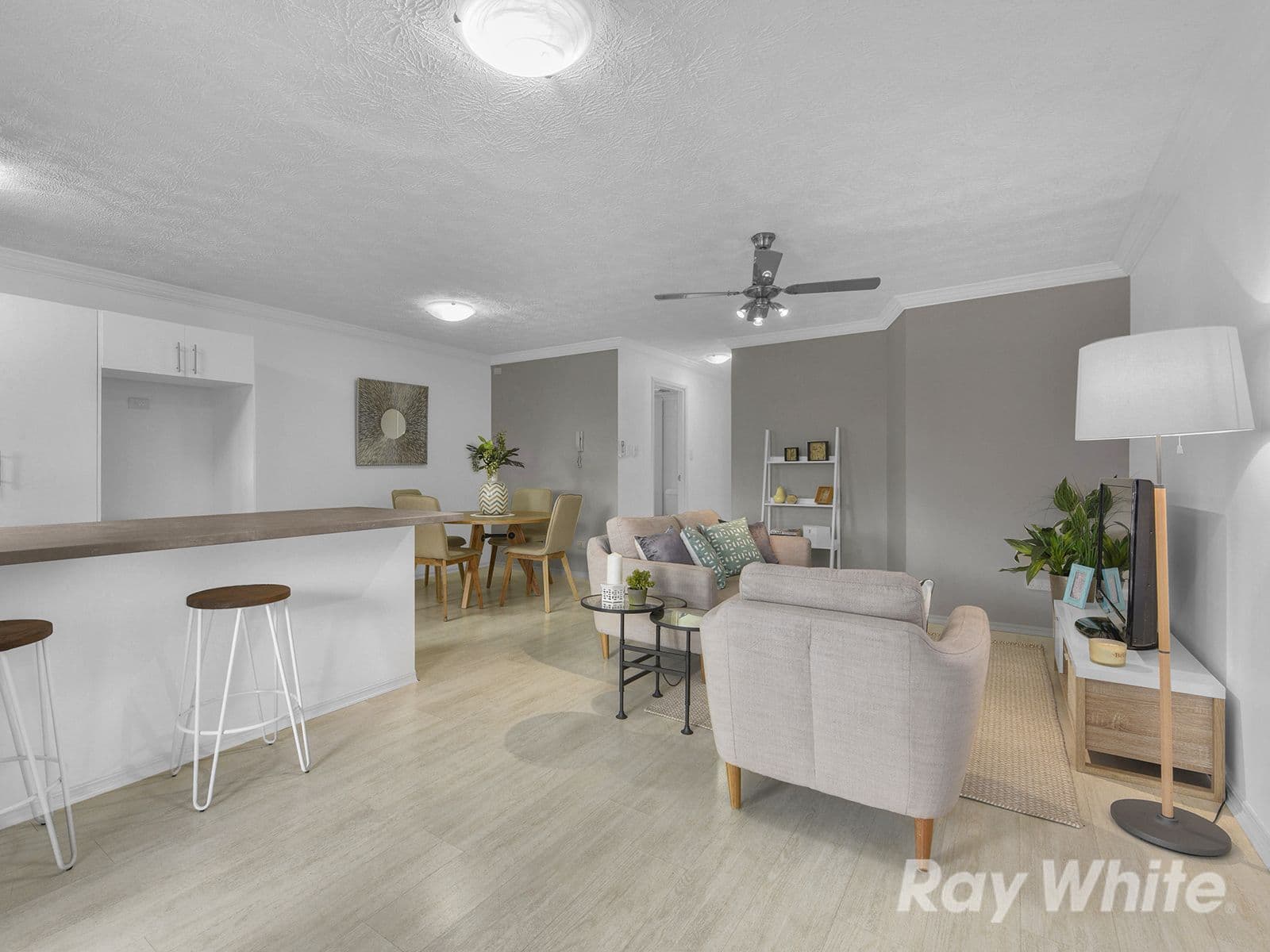 18 Frederick Street, Alderley QLD 4051, Alderley - Thumbnail 2