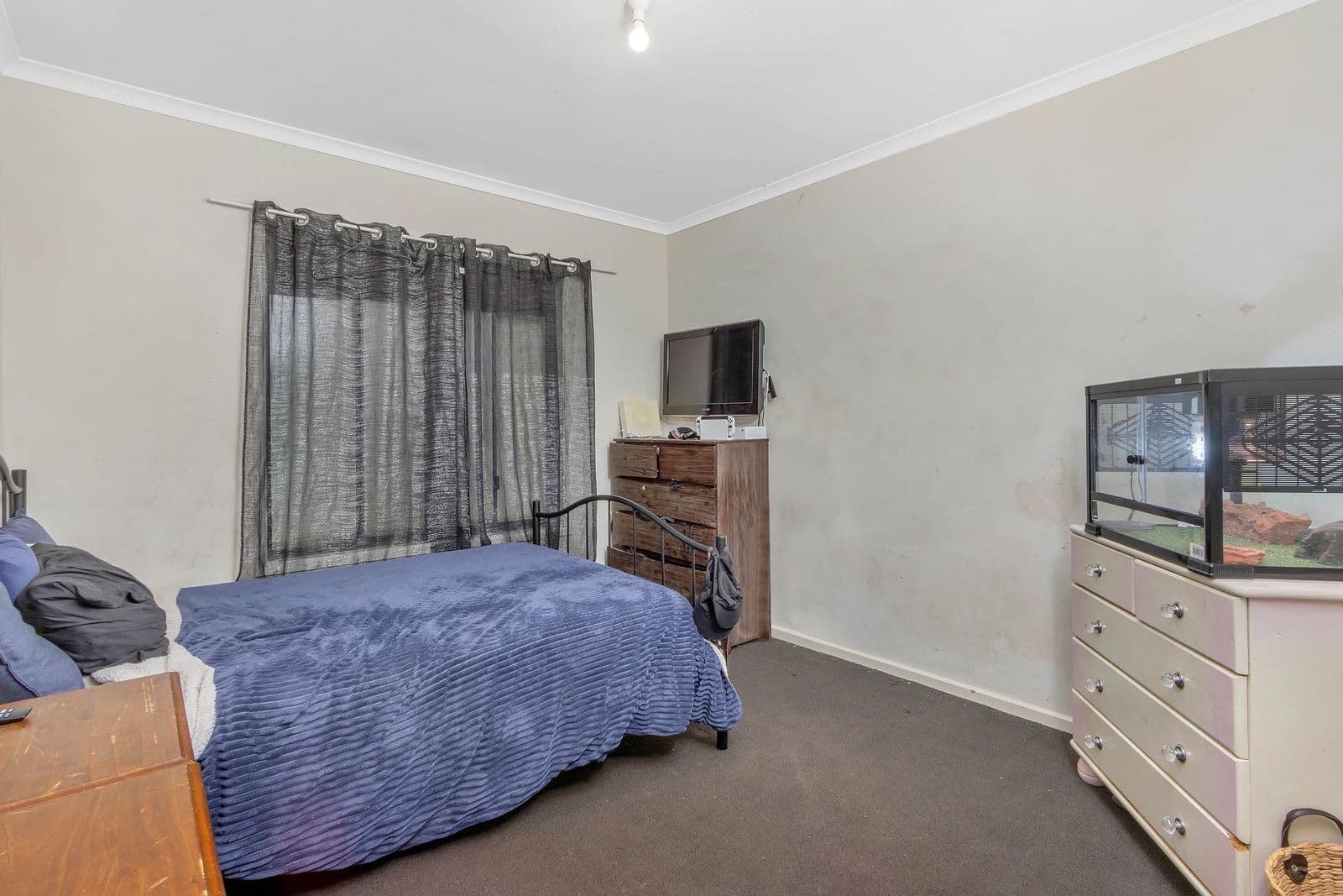 117A Peerless Road, Munno Para West SA 5115, Munno Para West - Thumbnail 5