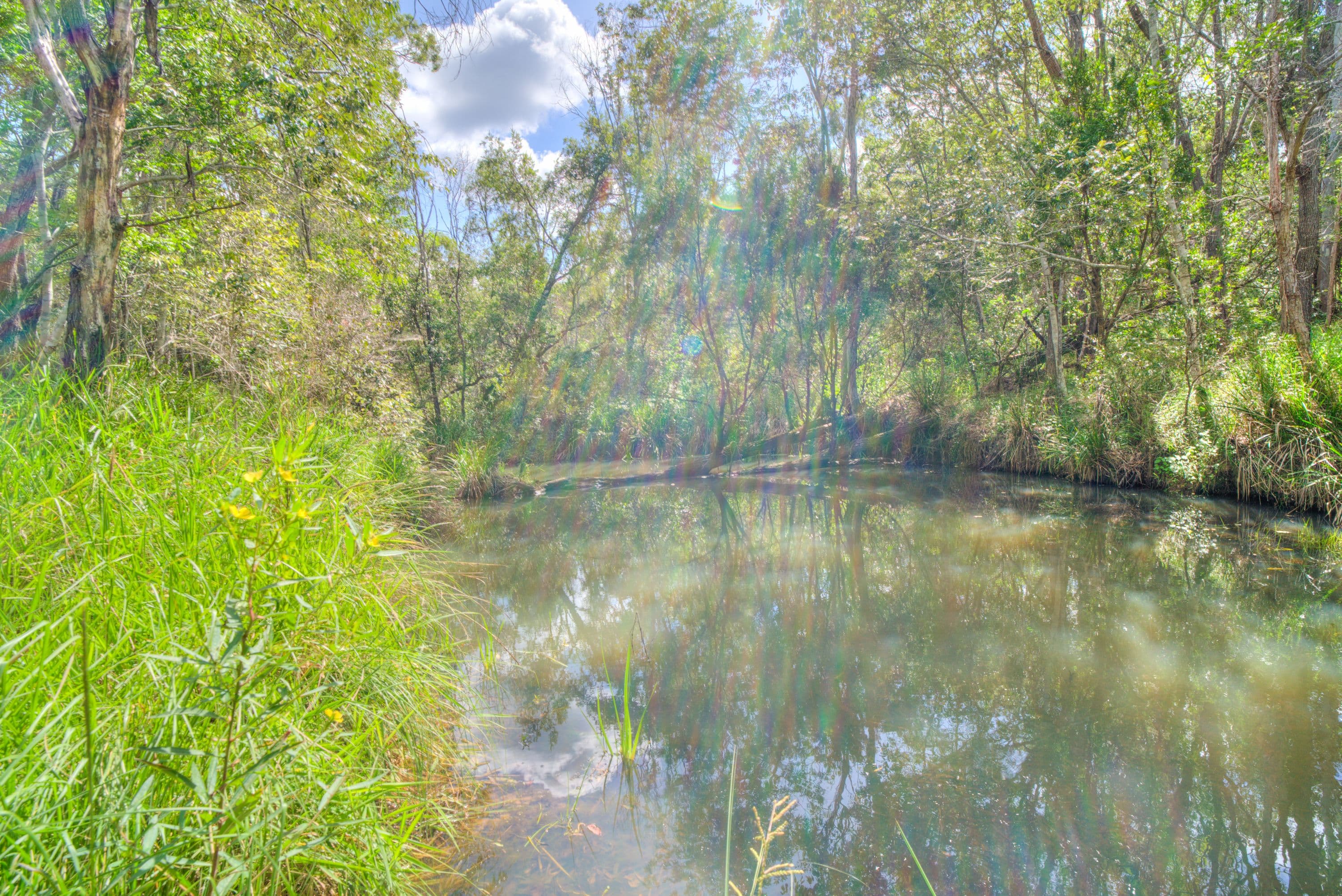 144 Creevey Drive, Captain Creek QLD 4677, Captain Creek - Thumbnail 2