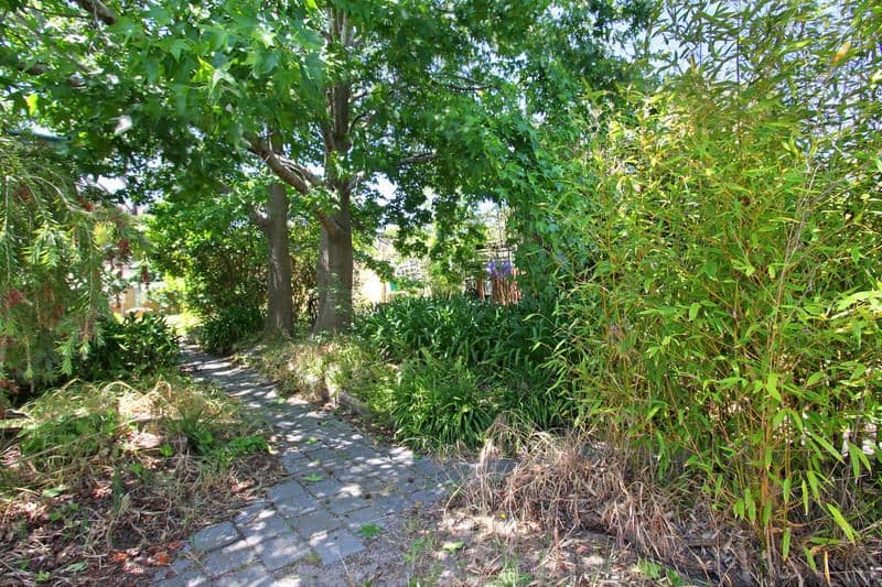13  Potton Avenue, ROSEBUD VIC 3939, Rosebud - Thumbnail 8