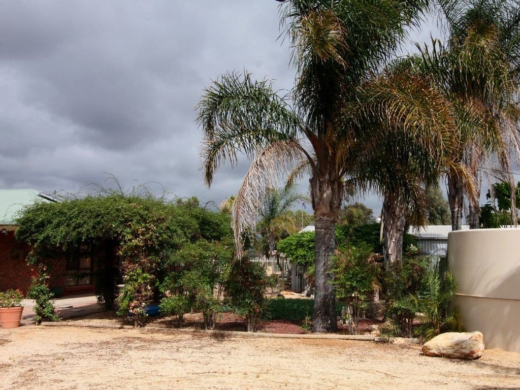 26 Gillespie Road, Barmera SA 5345, Barmera - Thumbnail 5