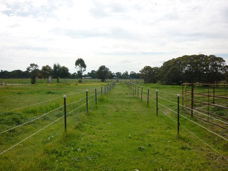72 Strachan Road, BULLSBROOK WA 6084, Bullsbrook - Thumbnail 2