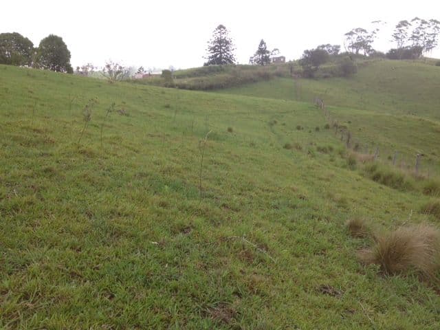 1490 Brisbane - Woodford Road, MOUNT MEE QLD 4521, Mount Mee - Thumbnail 2