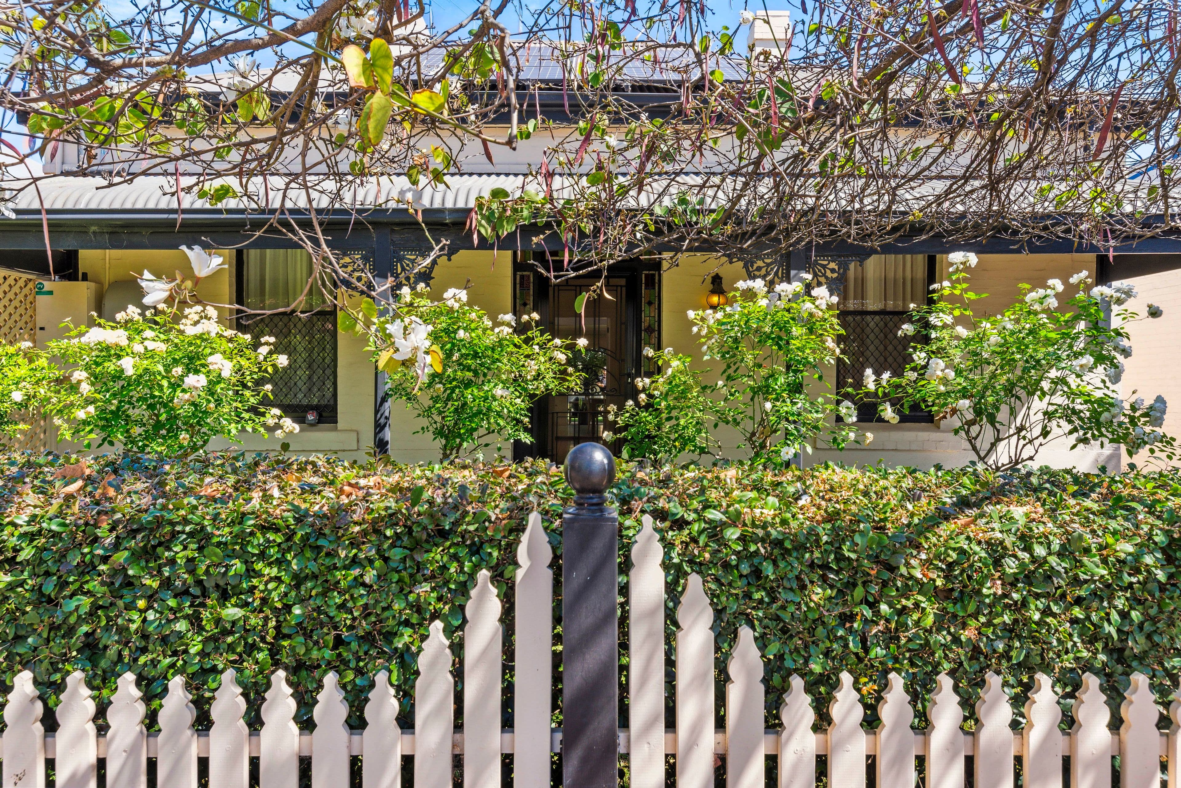 65 Mary Street, Unley SA 5061, Unley - Image 1