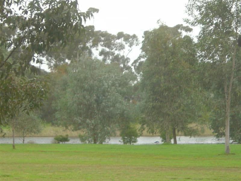 42 South Terrace, POORAKA SA 5095, Pooraka - Thumbnail 6