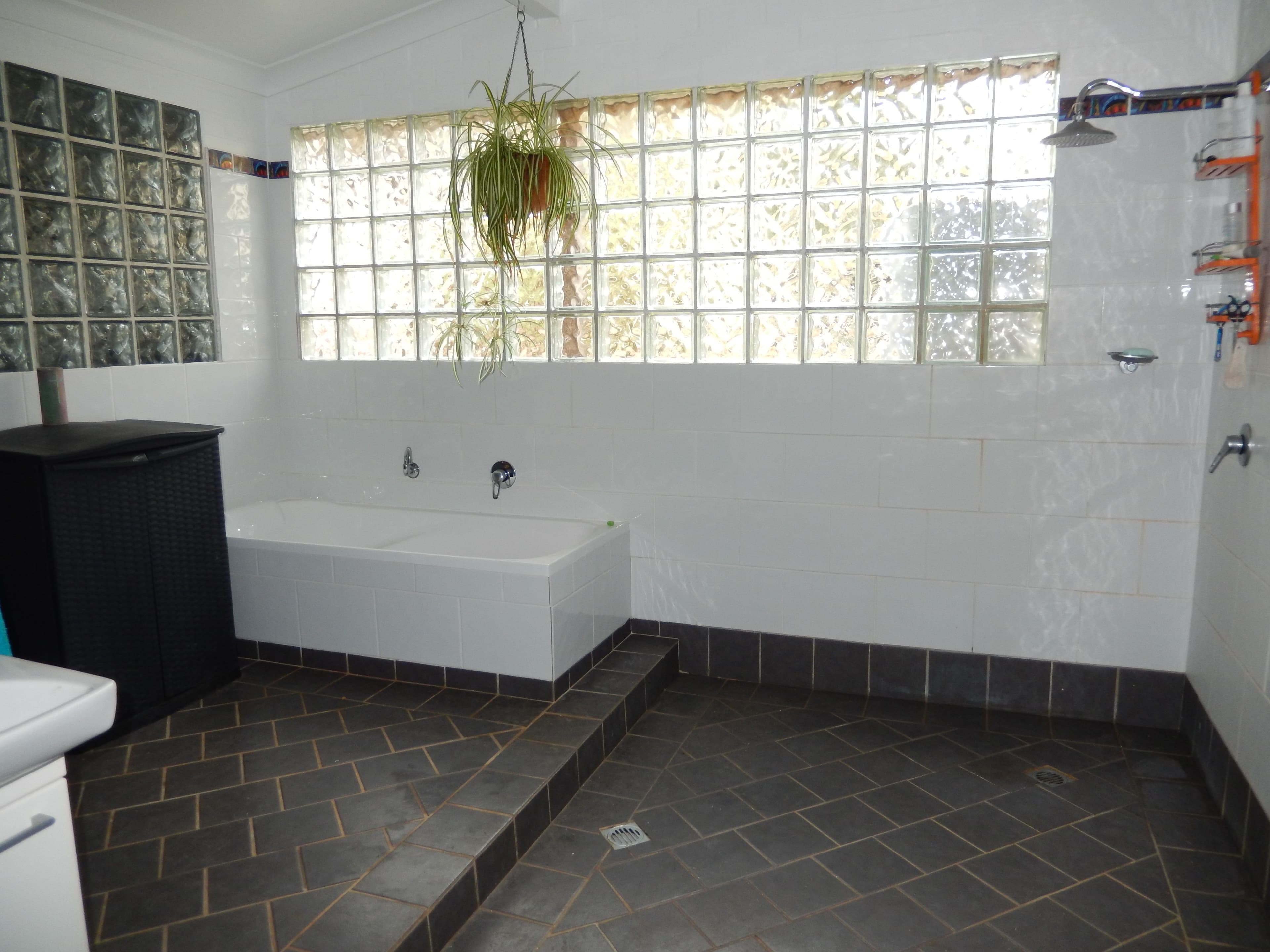 23 Beech Street, Dorrigo NSW 2453, Dorrigo - Thumbnail 3