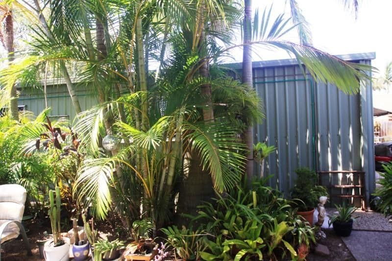 471 Nicklin Way, WURTULLA QLD 4575, Wurtulla - Thumbnail 3