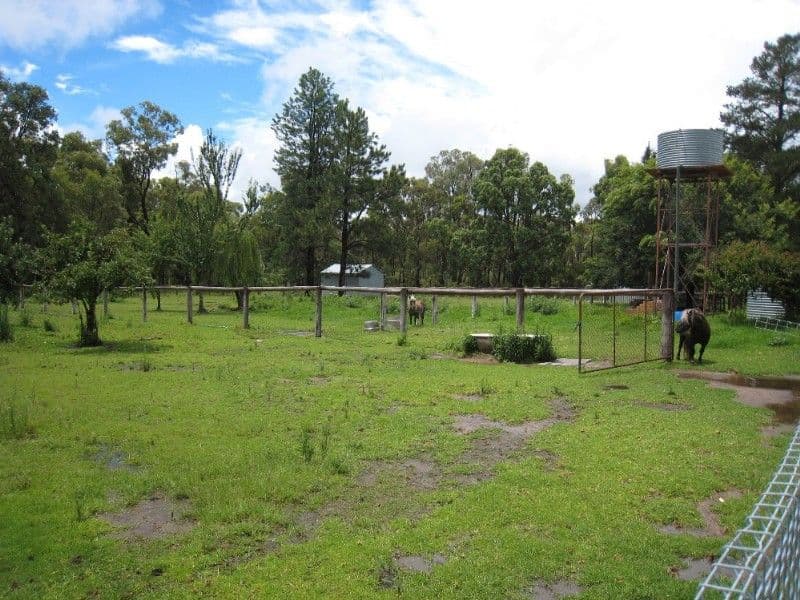 TINGHA NSW 2369, Tingha - Thumbnail 5