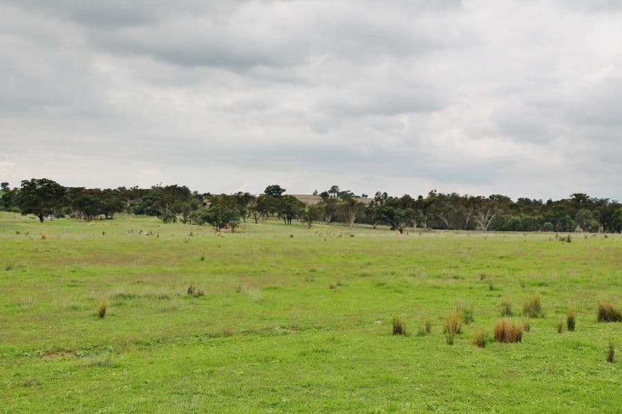 38 (Lot 10) Wambanumba Drive, YOUNG NSW 2594, Young - Thumbnail 3