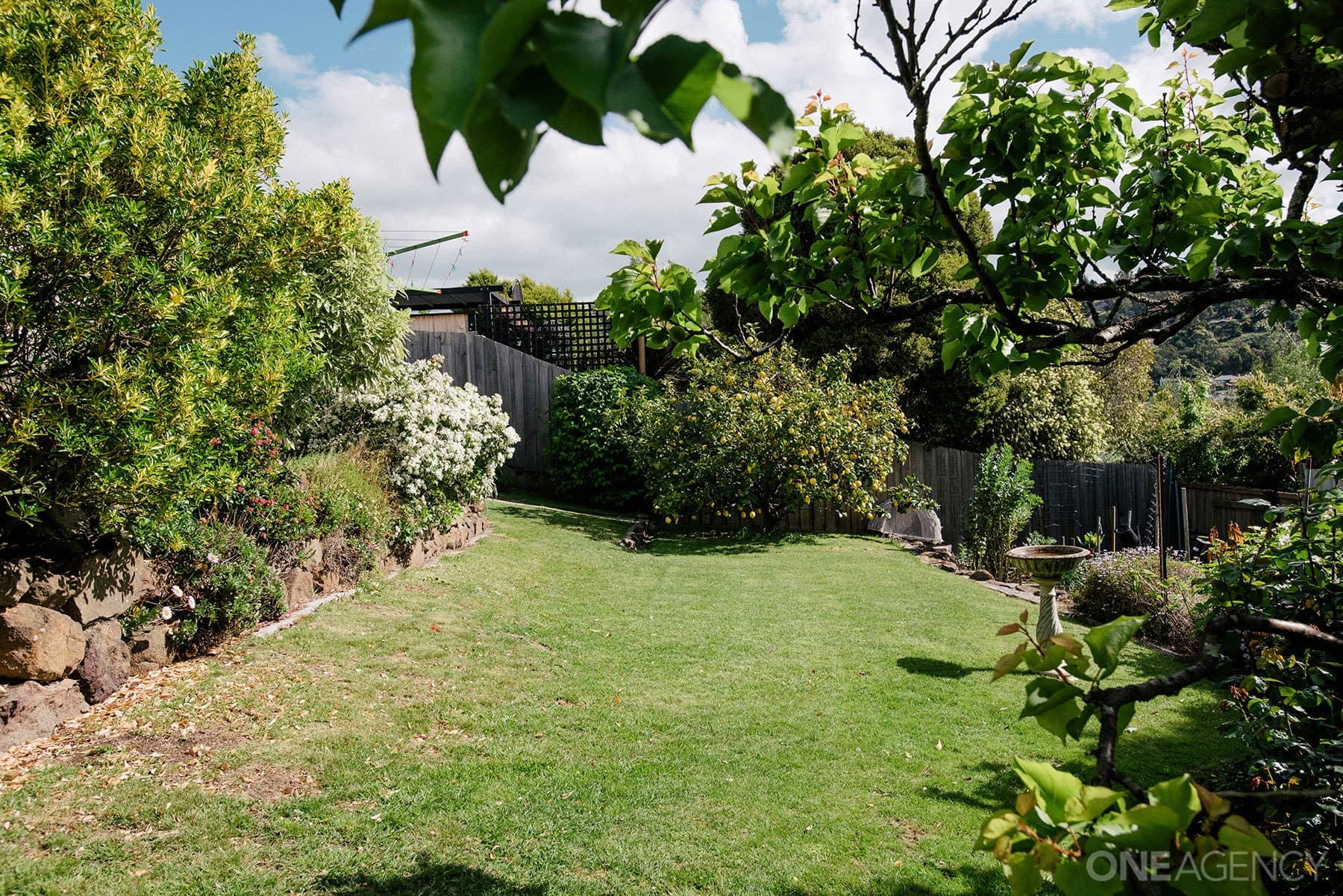 29 Grinter Street, Riverside, Riverside - Thumbnail 7