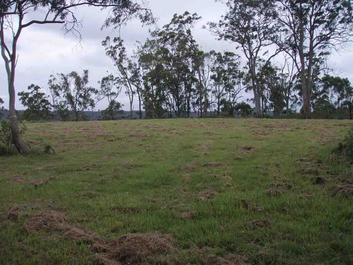 525  Preston Boundary Road, PRESTON QLD 4352, Preston - Thumbnail 2