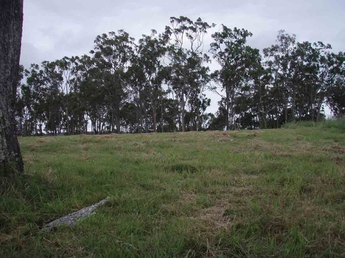 525  Preston Boundary Road, PRESTON QLD 4352, Preston - Thumbnail 3