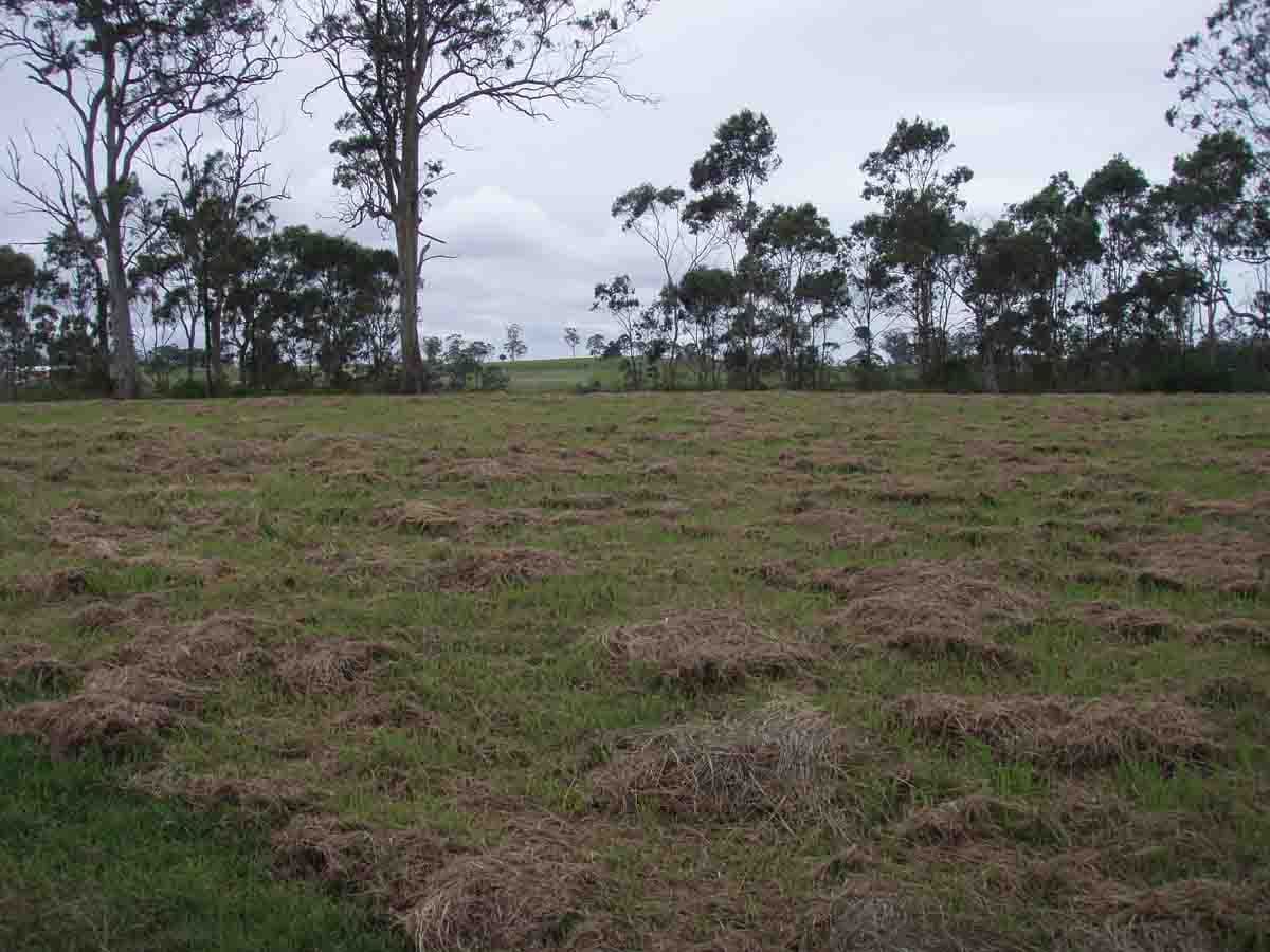 525  Preston Boundary Road, PRESTON QLD 4352, Preston - Thumbnail 4
