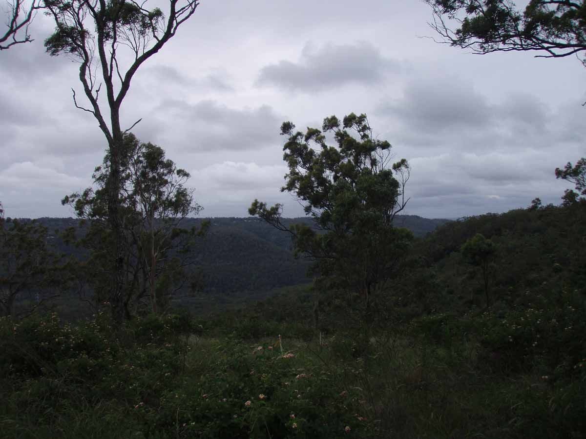 525  Preston Boundary Road, PRESTON QLD 4352, Preston - Thumbnail 5