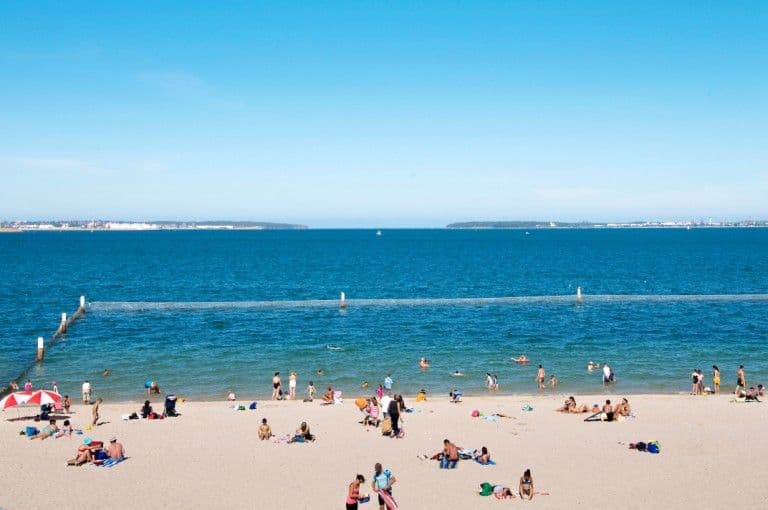 150 The Grand Parade, Monterey NSW 2217, Monterey - Thumbnail 2