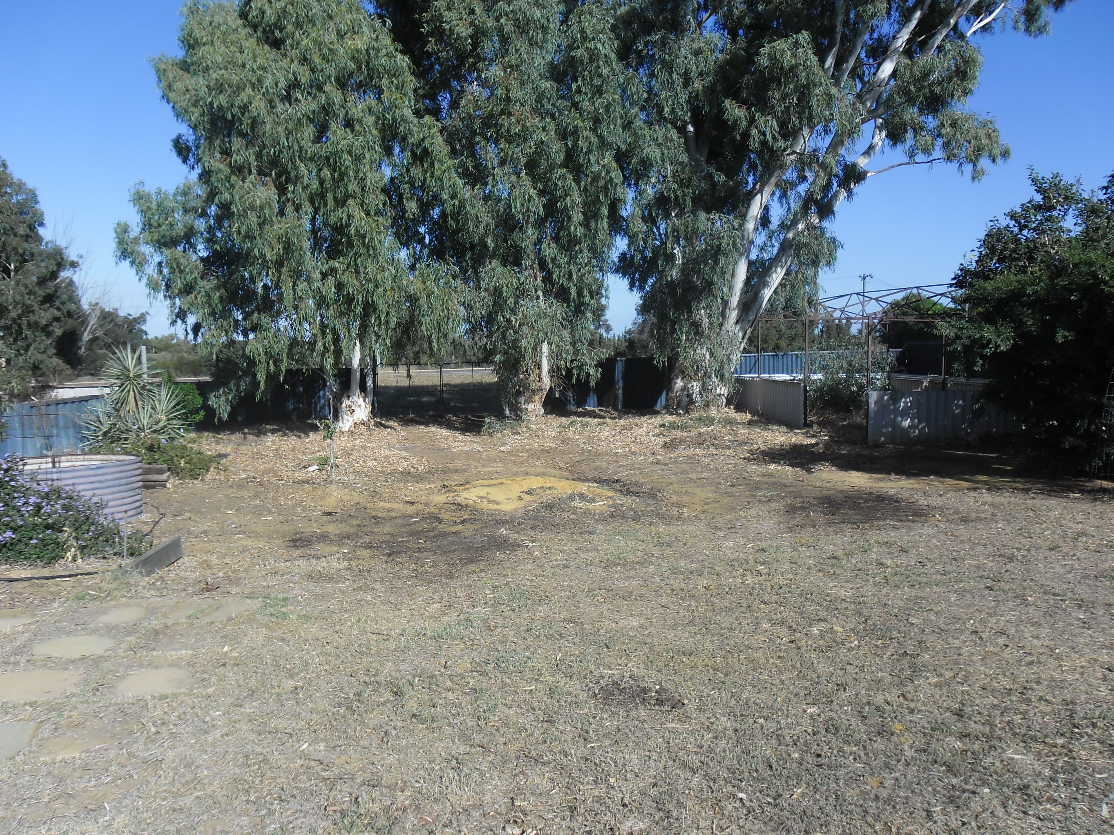 39 Commercial Street, Coorow WA 6515, Coorow - Thumbnail 8