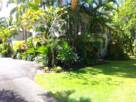 11 Morning Close, Port Douglas QLD 4877, Port Douglas - Thumbnail 4