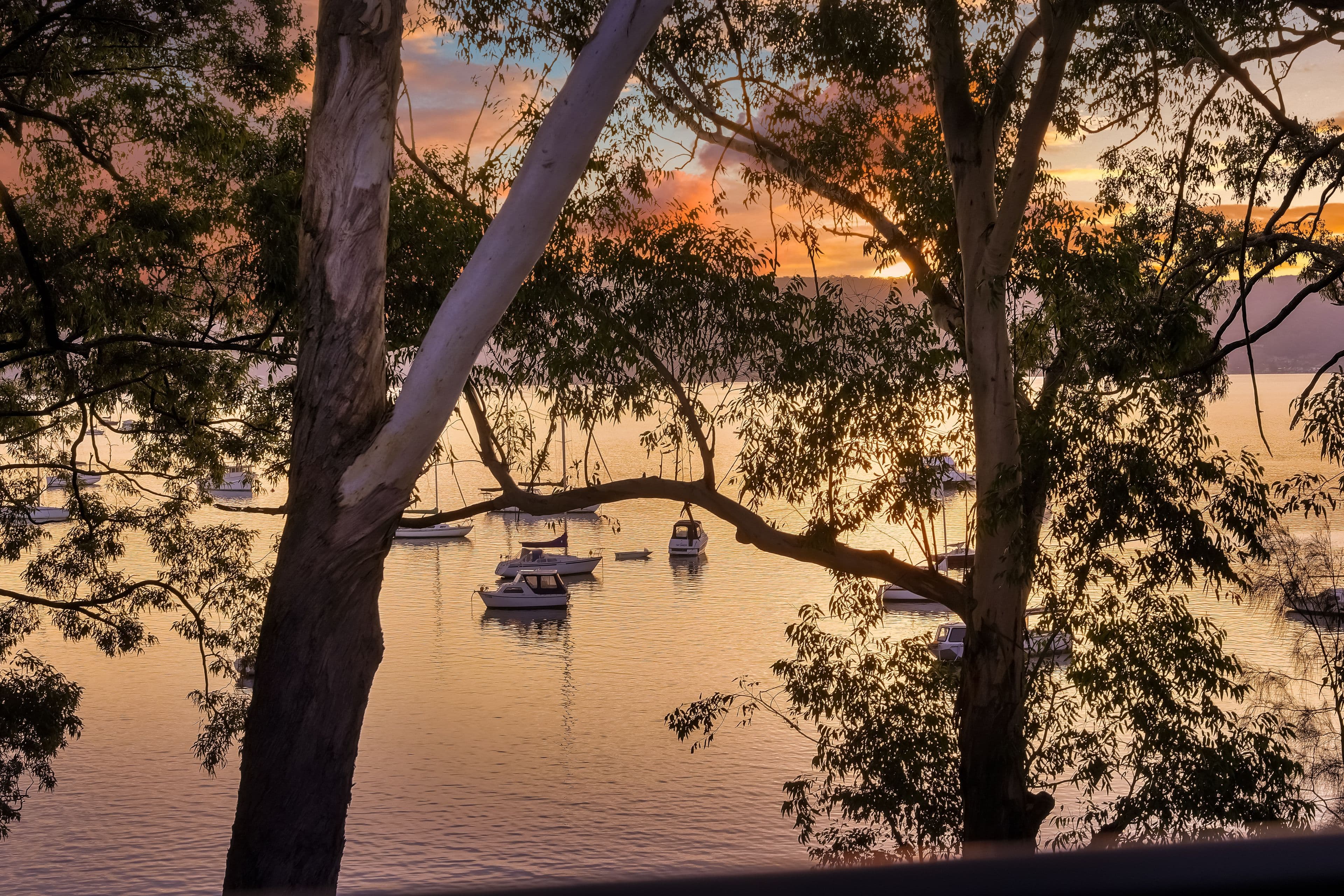 2a Moonah Avenue, Saratoga NSW 2251, Saratoga - Thumbnail 5