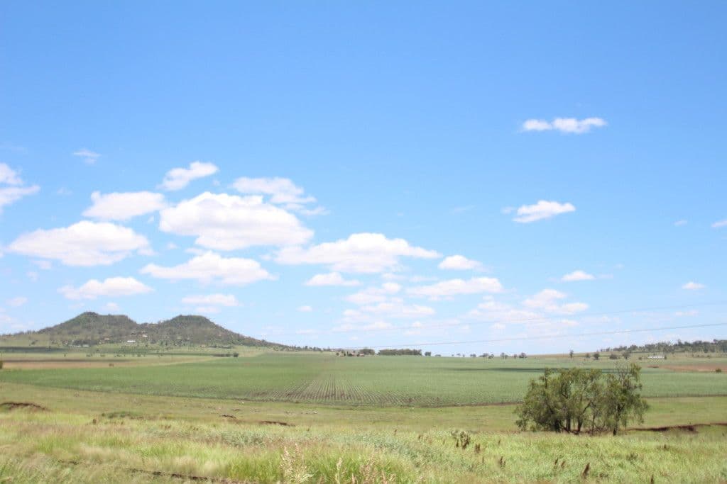 68 Gowrie Street, Kingsthorpe QLD 4400, Kingsthorpe - Thumbnail 5