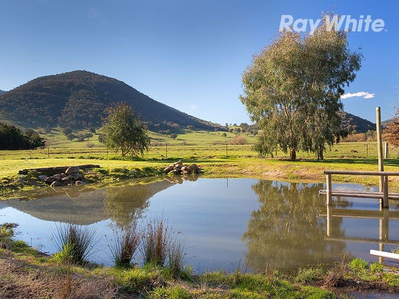 8078 Murray Valley Highway, BULLIOH VIC 3700, Bullioh - Thumbnail 4