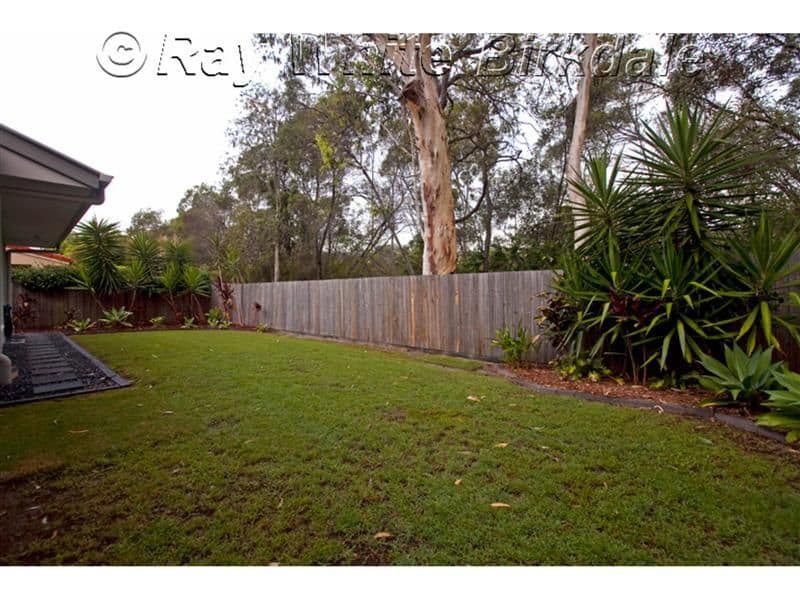21 Windsong Court, CLEVELAND QLD 4163, Cleveland - Thumbnail 3
