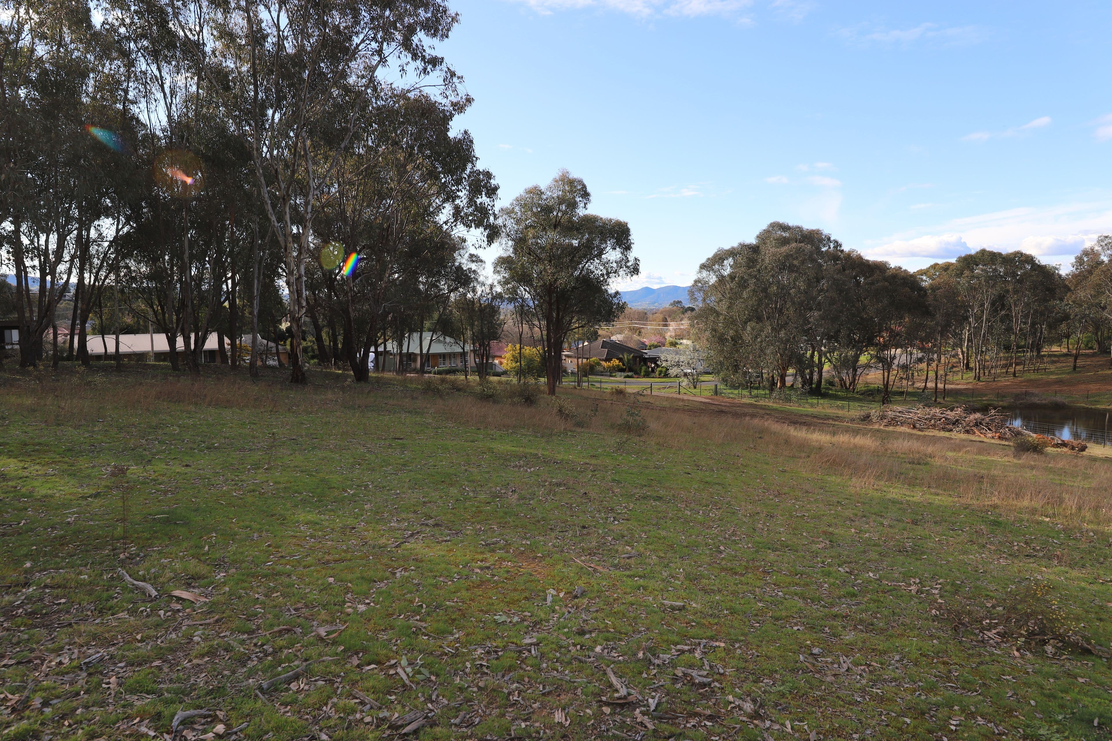 38 Quandong Avenue, Tumut NSW 2720, Tumut - Thumbnail 4