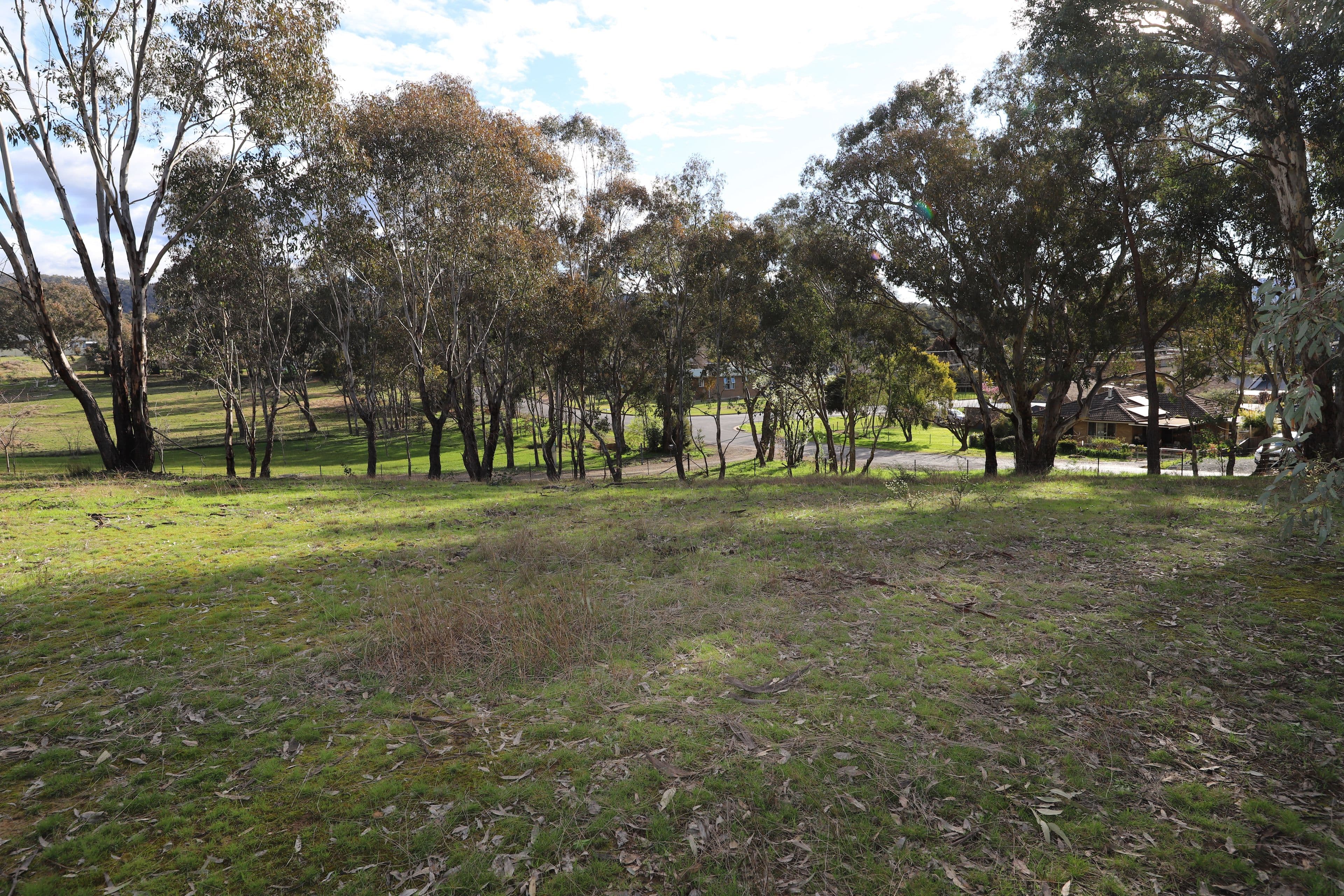 38 Quandong Avenue, Tumut NSW 2720, Tumut - Thumbnail 5