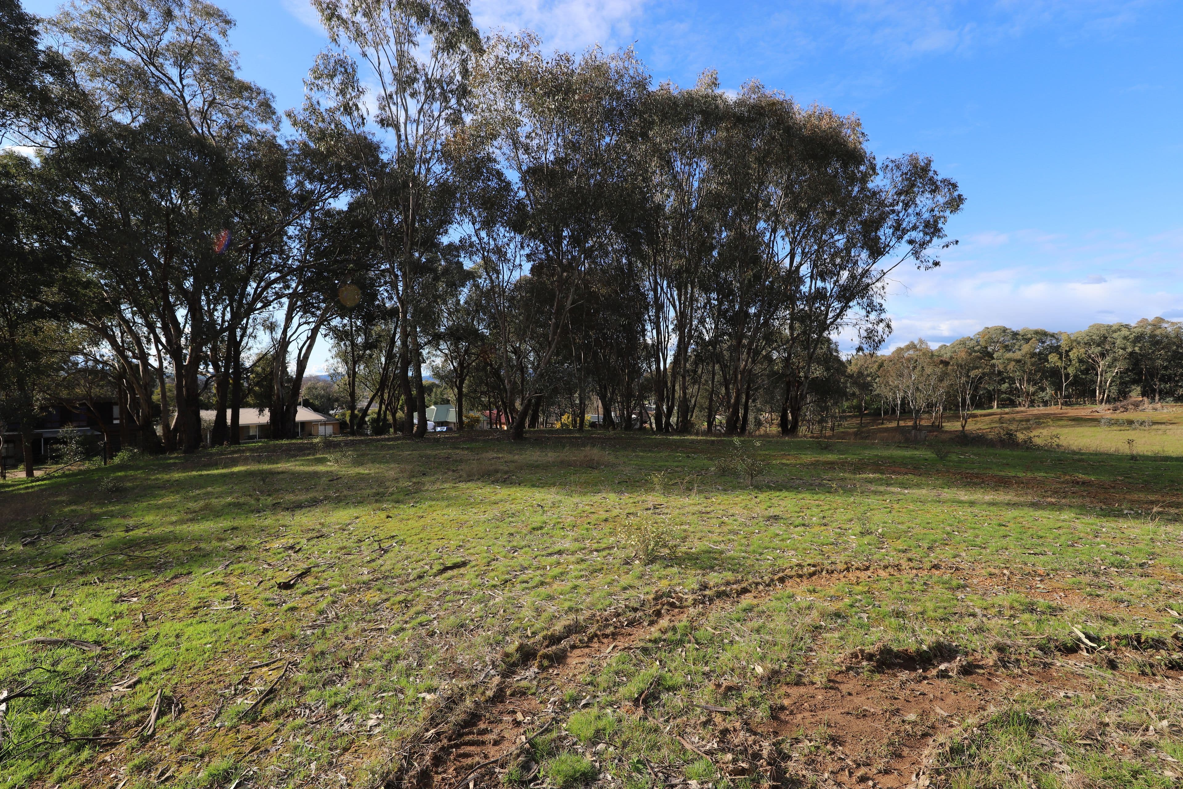 38 Quandong Avenue, Tumut NSW 2720, Tumut - Thumbnail 6