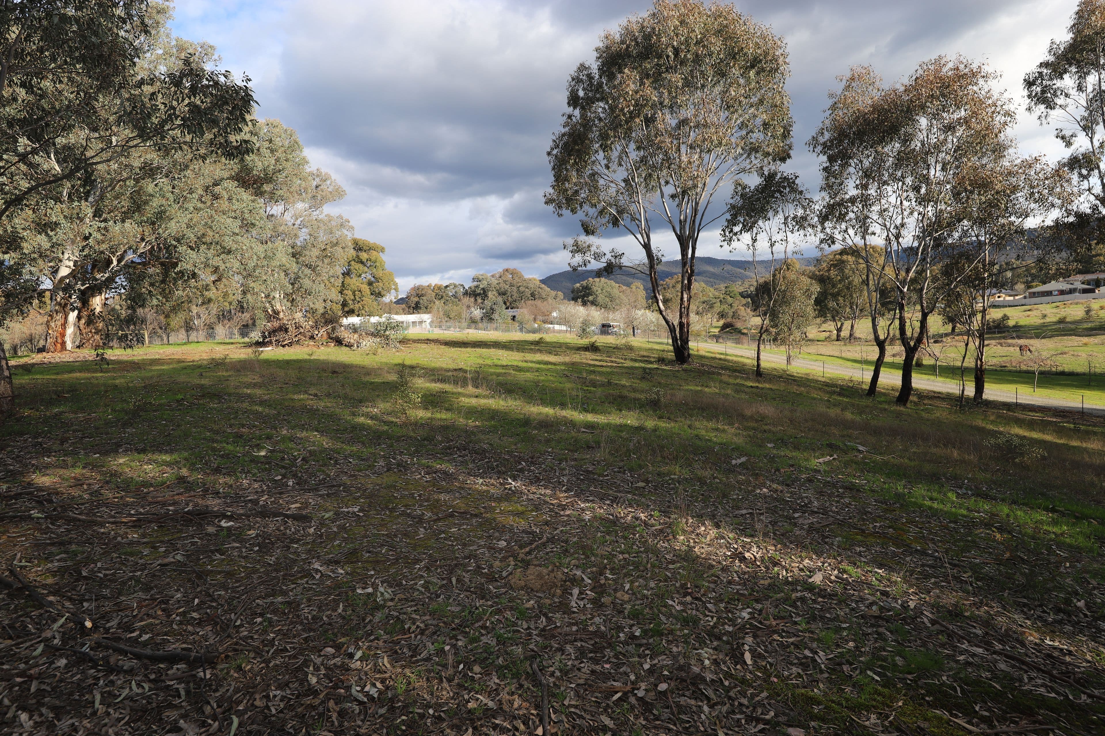 38 Quandong Avenue, Tumut NSW 2720, Tumut - Thumbnail 7
