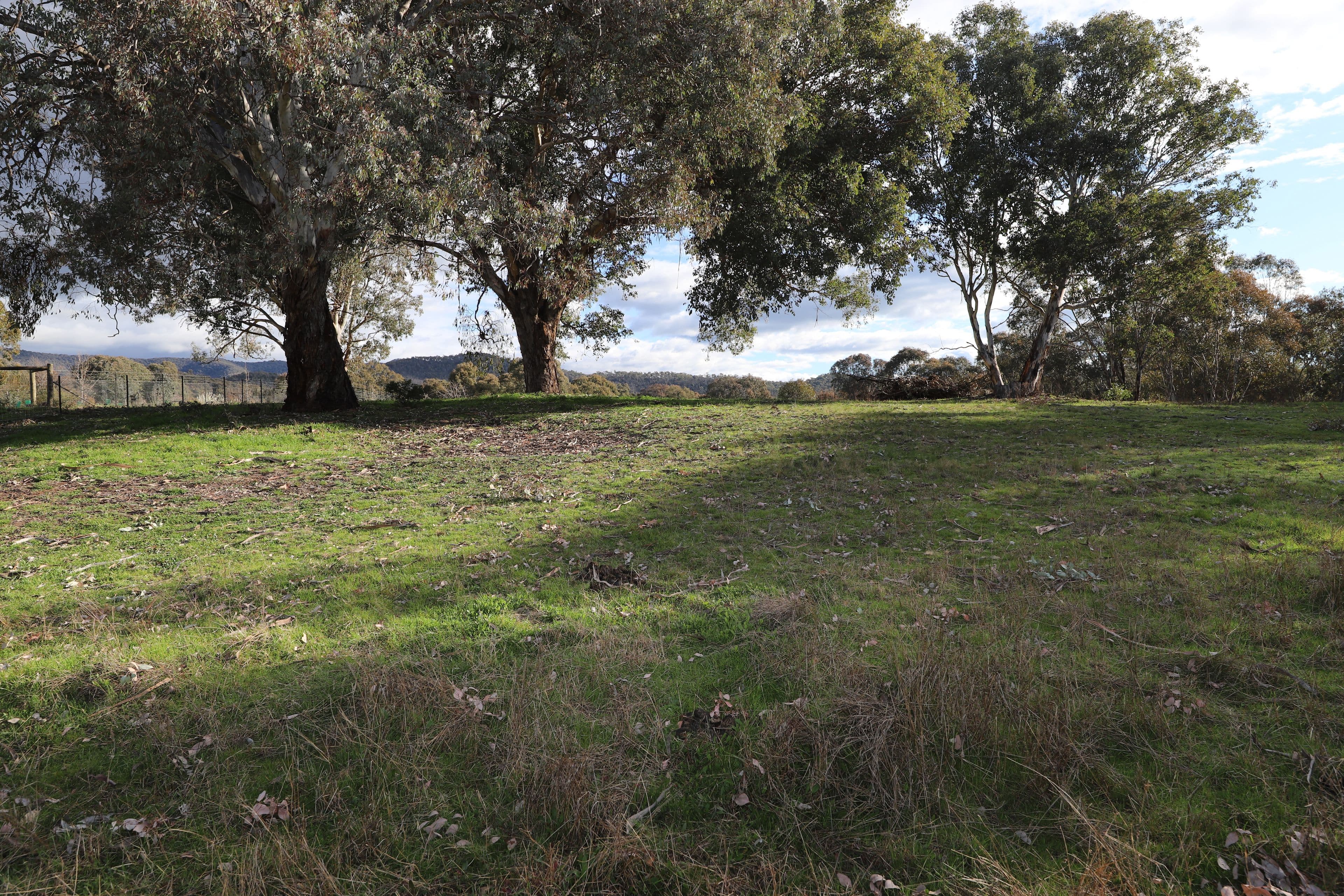38 Quandong Avenue, Tumut NSW 2720, Tumut - Thumbnail 8