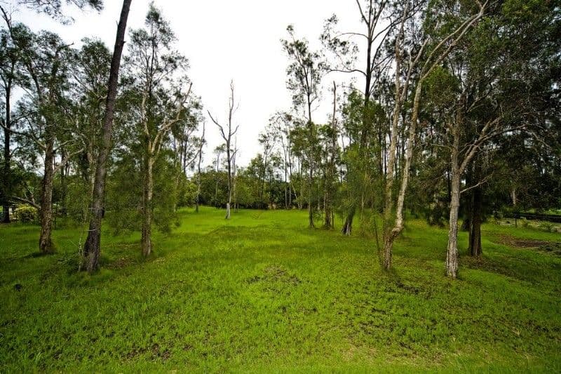 38 Riverdowns Crescent, HELENSVALE QLD 4212, Helensvale - Thumbnail 5