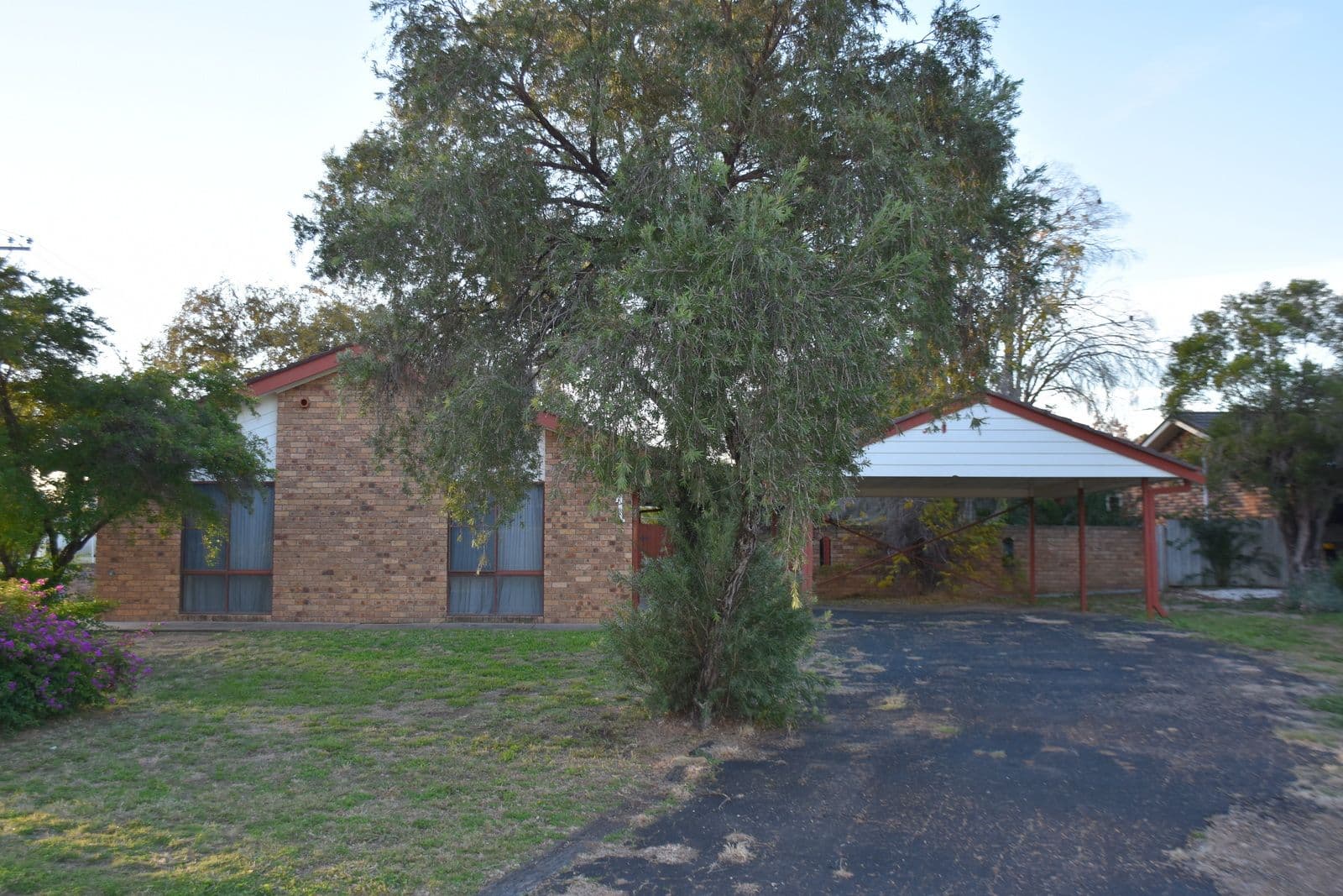 1 Helensvale Avenue, Moree NSW 2400, Moree - Thumbnail 2