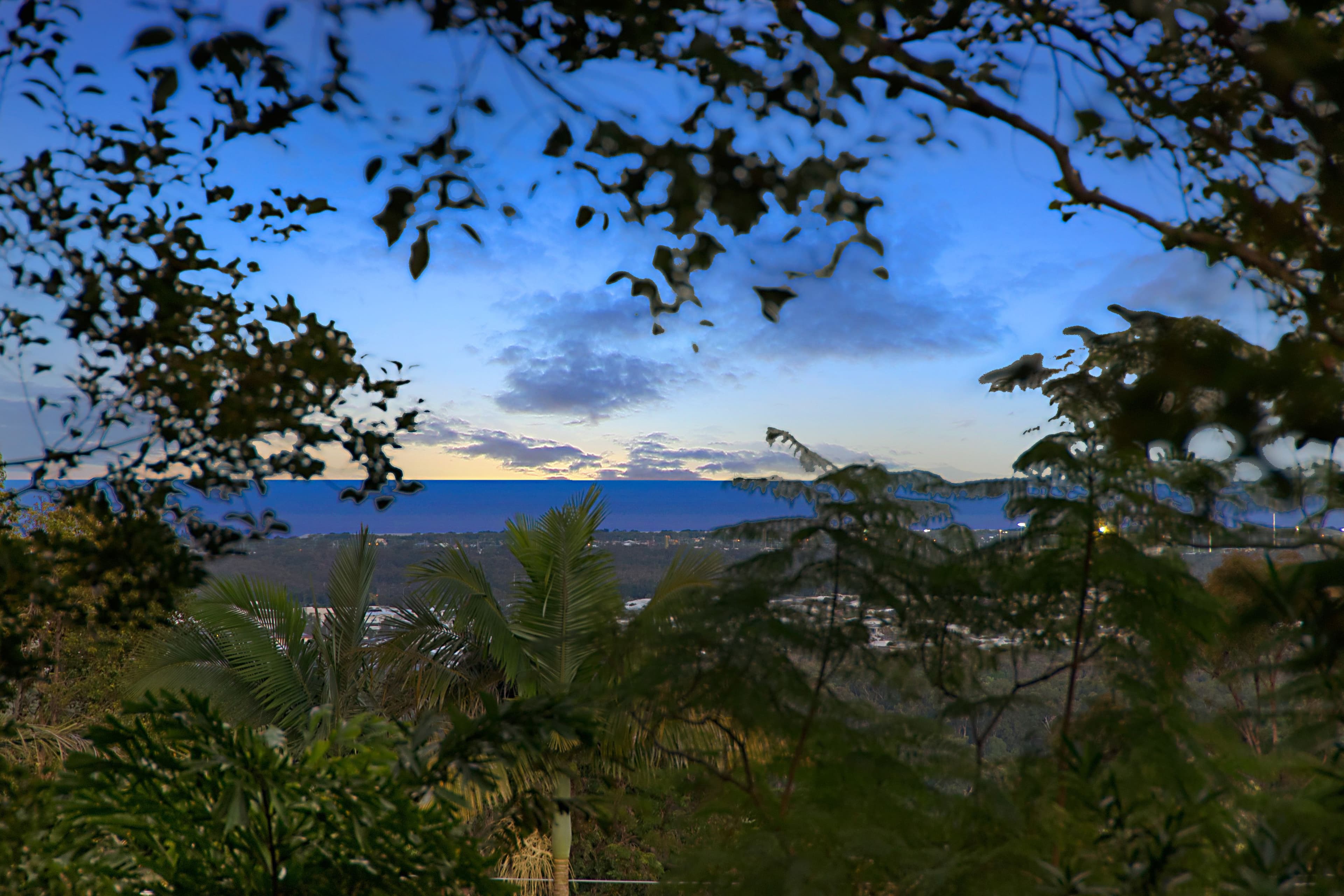 3 Gwynore Court, Buderim QLD 4556, Buderim - Thumbnail 5
